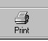 print icon